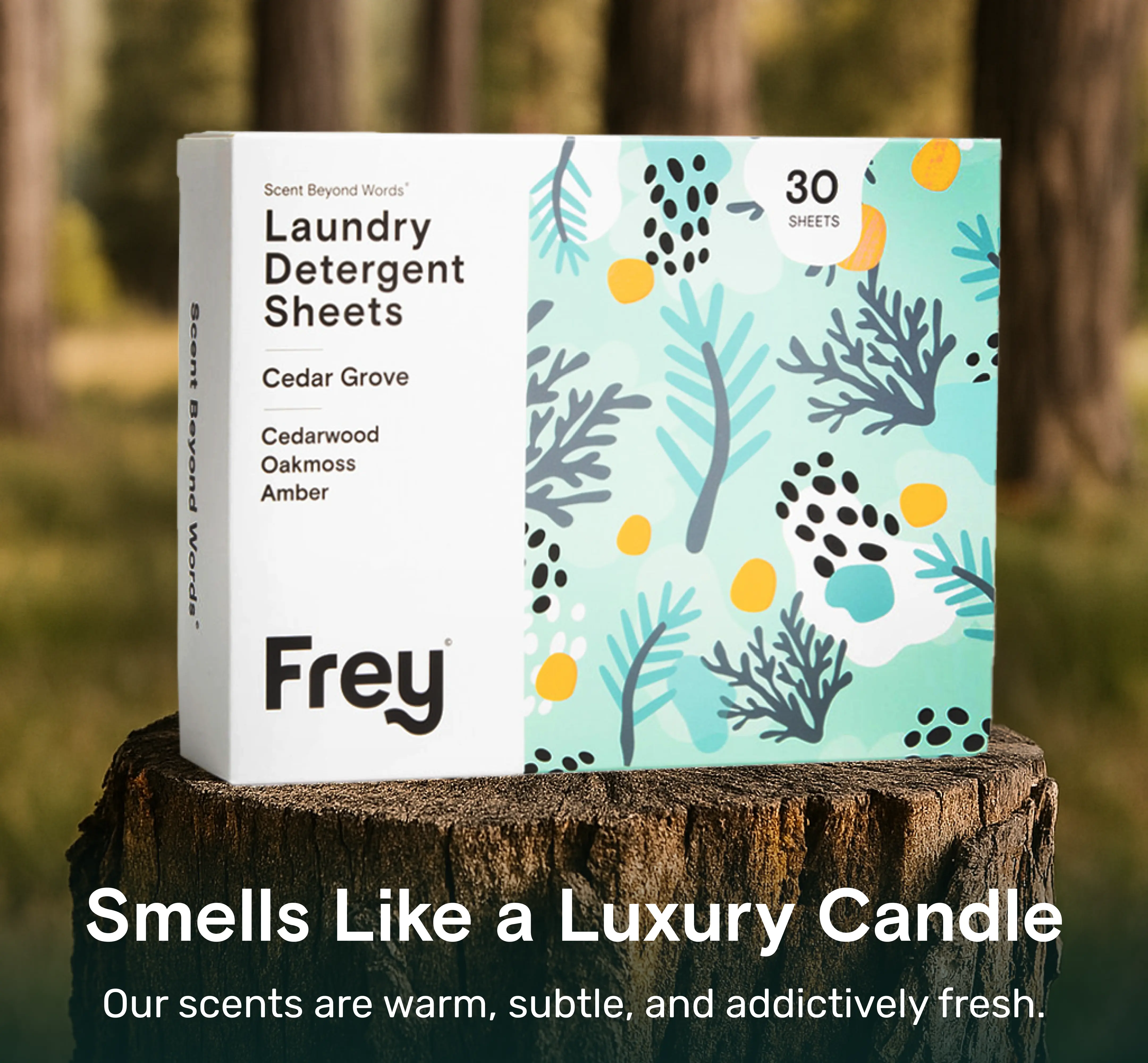 Dynamic Duo - Image 6