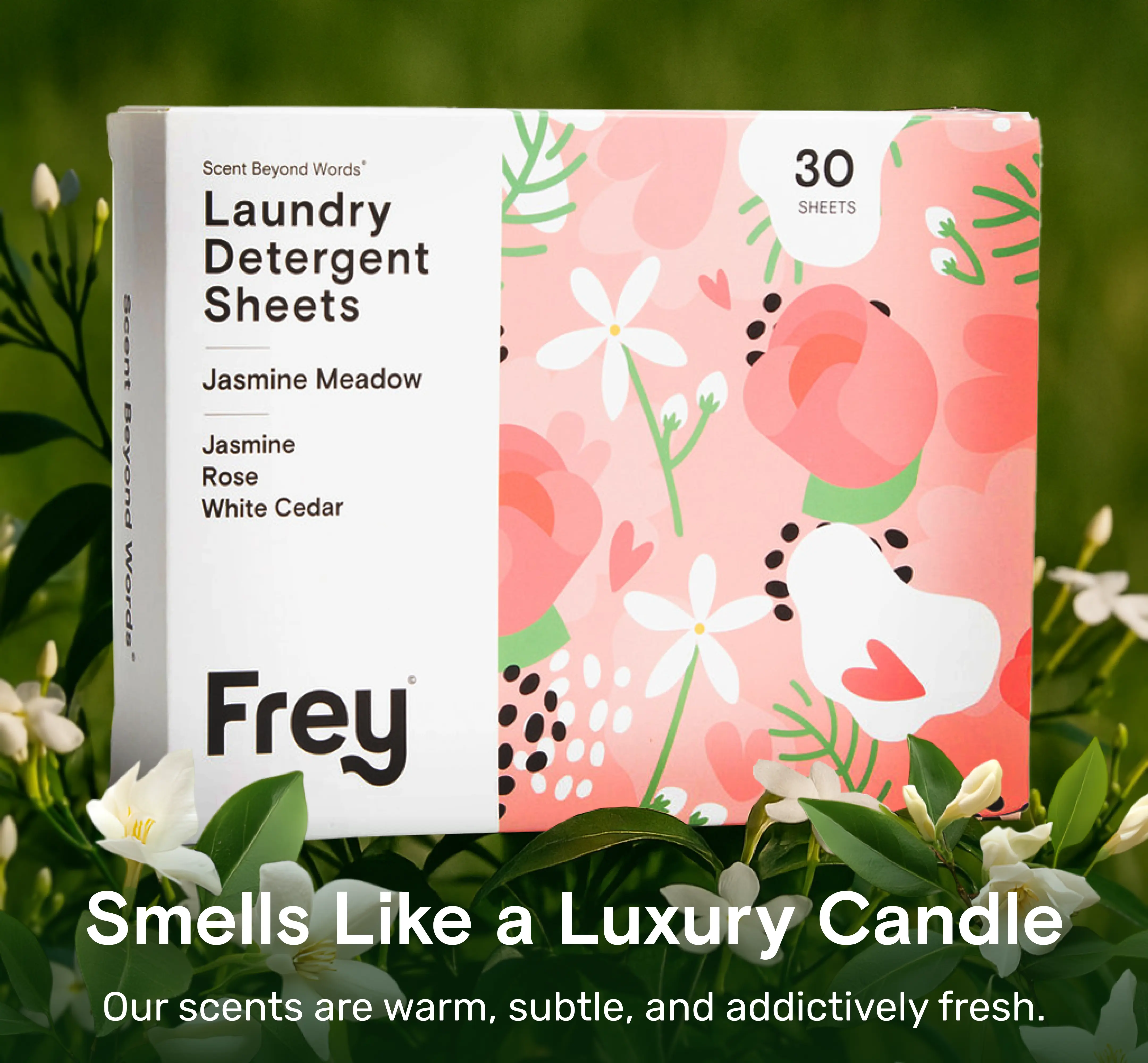 Dynamic Duo - Image 8