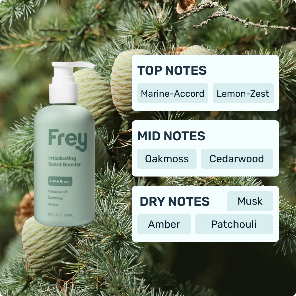 Scent Sample Pack - Image 3