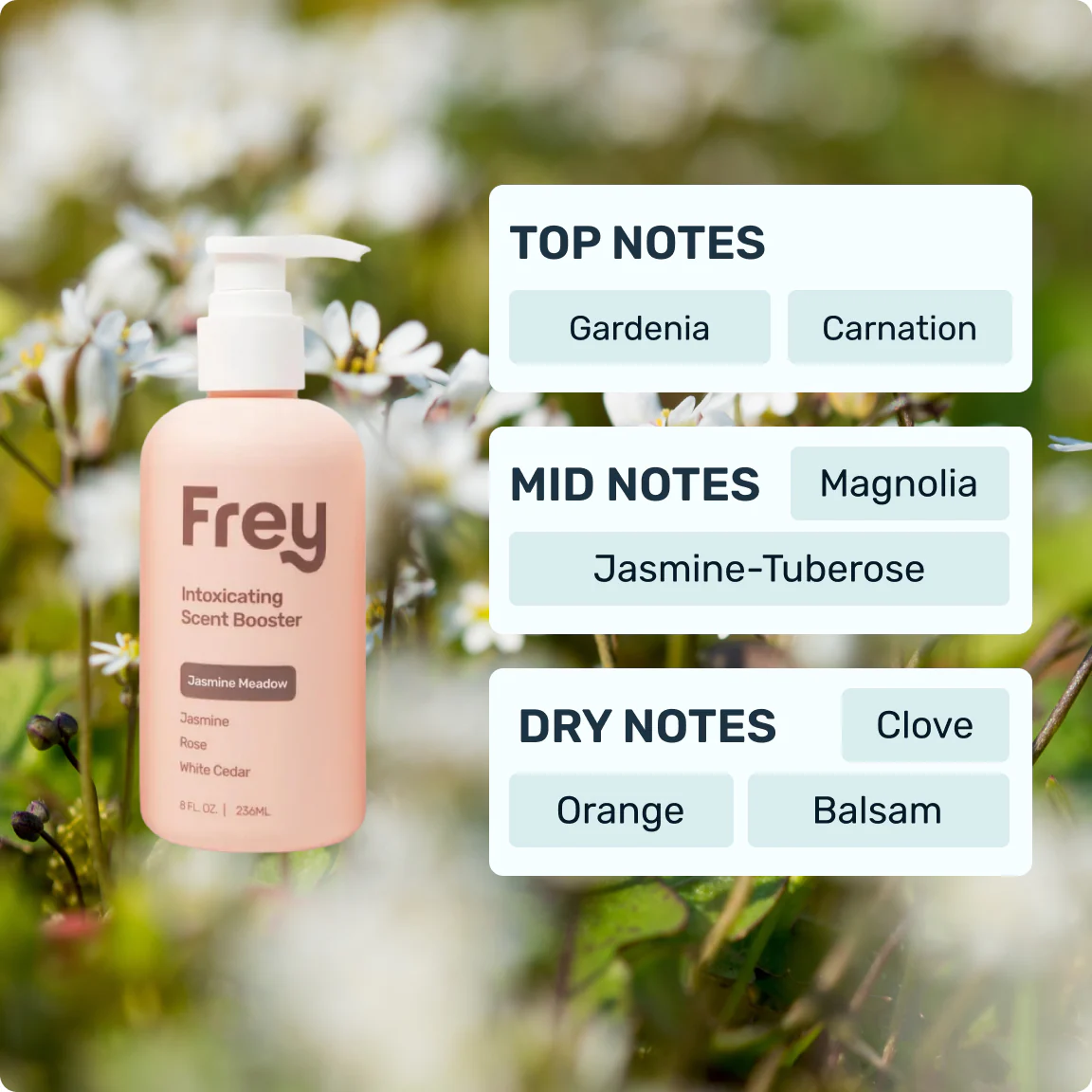 Scent Sample Pack - Image 4