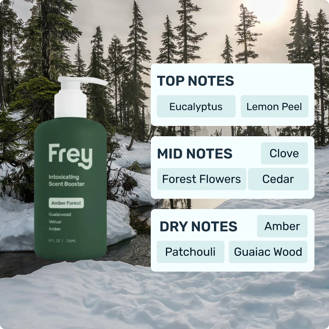 Scent Sample Pack - Image 5